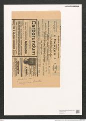 Amphiprora conspicua Grev. (de-Toni-Nr.: Genus 29, Species 1326) Zeichnungen Sammlung Grunow (NHMW-BOT-W0369734)